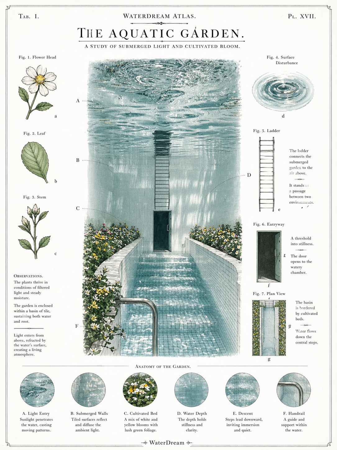 【リミナルスペースとは】水中庭園が体現する「境界の美学」完全ガイド